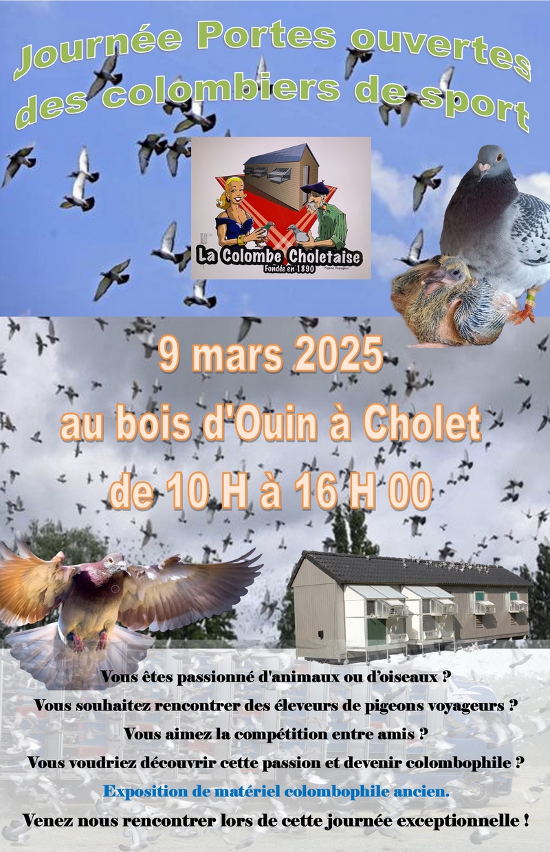 Colombe_Choletaise_PO_2025