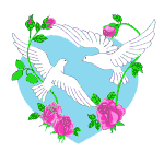 Mariage lâcher colombe pigeon_blanc 49